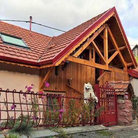 Gite Du Durrenbach Lautenbach Екстер'єр фото