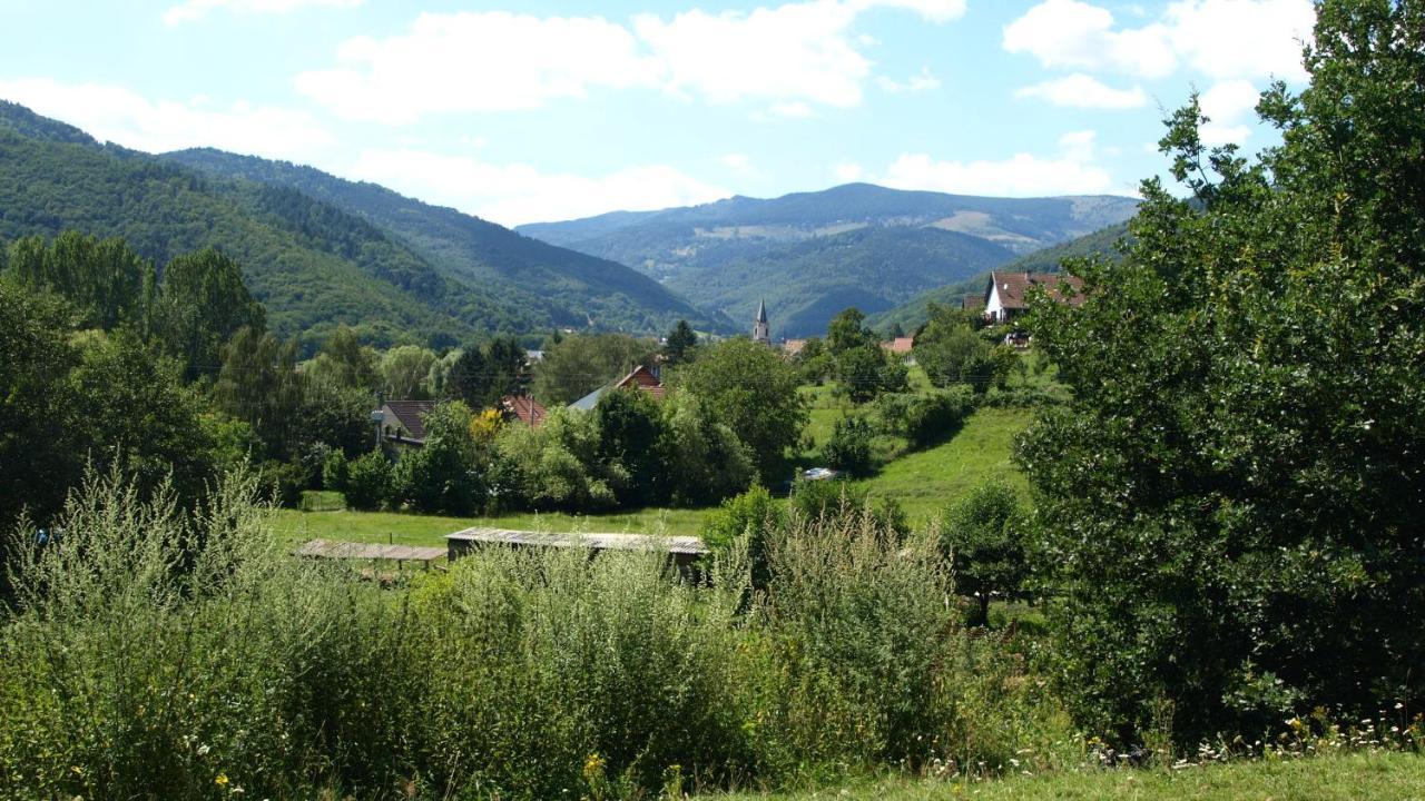 Gite Du Durrenbach Lautenbach Екстер'єр фото